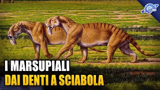 I Marsupiali dai DENTI A SCIABOLA [upl. by Haelahk]