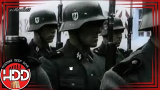 WW2 Beginnings Of The SS Schutzstaffel  Captivating Historical Journey [upl. by Nahtaj402]