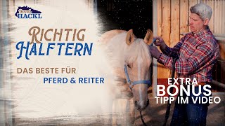 Halfter richtig anlegen I Bernd Hackl erklärt 🐴 [upl. by Yhtamit]