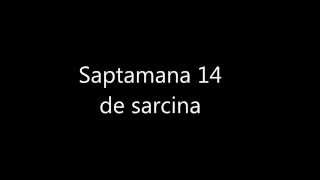 Saptamana 14 de sarcina [upl. by Rudd117]