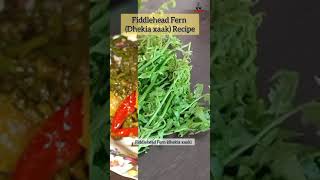 Fiddlehead Fern Recipe Dhekia xaak Recipe shorts food recipe fiddleheadfern short [upl. by Archibaldo123]