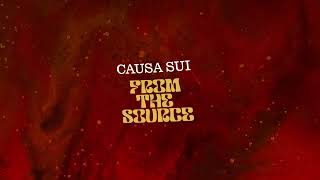 Causa Sui From the Source NEW ALBUM teaser [upl. by Yelssew]