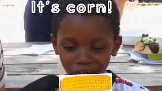 It’s corn 🌽 song remix  it’s corn a big lump with knobs it has the juice [upl. by Aoht900]