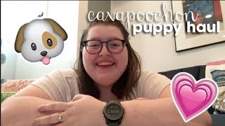 Cavapoochon Puppy Haul [upl. by Wilcox]