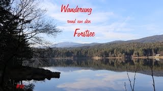 Wanderung um den Forstsee  SaagWörtherseeKärnten [upl. by Donetta]