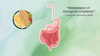 Gut physiology meets microbiome science [upl. by Eelarbed]