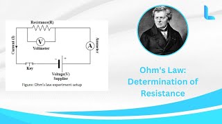 Ohms Law  Physics Practical Class 12  Thelearnyn animation [upl. by Ihsoyim534]