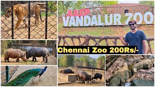 VANDALUR ZOO 2024  chennai zoological park [upl. by Amado299]