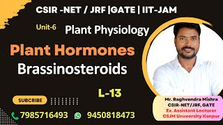 Brassinosteroids  Biosynthesis amp Signaling  Plant Hormones  Plant Physiology genesisinstitute [upl. by Archambault]