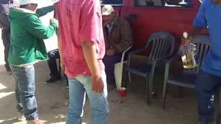 Los Borrachos de La Laguna Nieves Zacatecas [upl. by Chelsy]