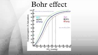 Bohr effect [upl. by Nebur656]