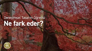 Deneyimsel Tasarım Öğretisi  Ne Fark Eder [upl. by Amalberga76]