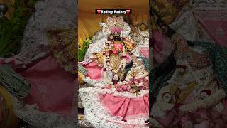 Mohan Mera Pyaary radhavallabh trending vrindavan shortsfeed bankebihari viralreels ￼￼￼ [upl. by Anehta]