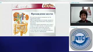 FitLine Basics Базовый комплекс для здорового пищеварения Доктор Галина Костина [upl. by Kendrah119]