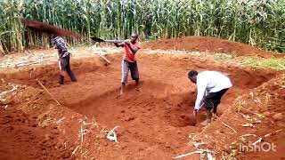 part 1small scale silage making preparation How to dig the silage pit by hand [upl. by Hoffer]