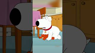 Stewie And Ruperts Unbearable Relationship familyguy funny shorts [upl. by Ellenej]