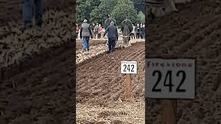 Traditional Horse Ploughing at the 73rd British National Ploughing Championships 13th October 2024 [upl. by Adla]