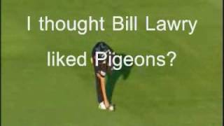 Pigeon hit with Cricket ball [upl. by Martijn]