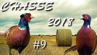 CHASSE DU FAISAN EN SOLOGNE AU 410 MAGNUM 9 2018 [upl. by Jaye]