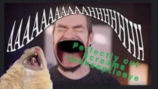 Perfectly cut screams  jacksepticeye [upl. by Kenward]