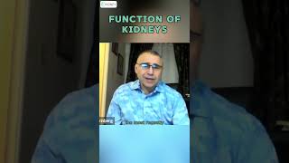 Physiological Functions Of Kidneys amp Its Complexity  Kidneys Functions [upl. by Munford]