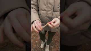 Bushcraft outdoors survival campinglife camping bushcraft survivalgirl cooking [upl. by Croix]