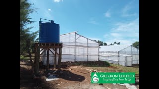 Steps in Wooden Greenhouse Construction in Kenya  Greenhouse Farming in Kenya  GREKKON LIMITED [upl. by Haela983]