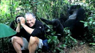 Zegrahm Expeditions Gorilla Encounter in Uganda [upl. by Willis]