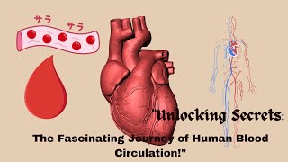 quotUnlocking Secrets The Fascinating Journey of Human Blood Circulationquot [upl. by Duile363]