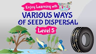 Various ways of Seed Dispersal  Science  Grade34  TutWay [upl. by Puduns]