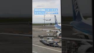 ✈️羽田空港第二ターミナルサテライト ボーッと60秒間 airport 飛行機 働く車 羽田空港 hanedaairport [upl. by Naelcm]