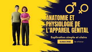 Anatomie et physiologie de lappareil génital  Explication simple et claire [upl. by Ocirrej]