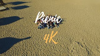 Picnic drone footage TURKEY in 4K [upl. by Garratt]