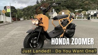 Honda Zoomer Yellow [upl. by Frederick83]