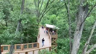 Canopy walk Blacklick Reynoldsburg OH [upl. by Akemad]