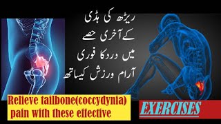 tailbone pain exercisestailbone pain when sitting tailbone pain relief tipsCoccyx Pain Relief [upl. by Ileyan]