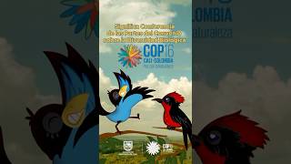 COP16 que se realizará en Cali Colombia entre el 21 de octubre y el 1 de noviembre de 2024 [upl. by Heigho]