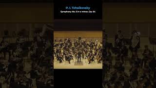 🎻 PI Tchaikovsky  Symphony No5 in e minor Op64  아름다운 선율에서 느껴지는 따뜻한 위로 🎼 [upl. by Anifur]