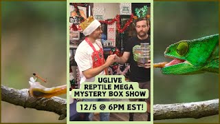 UGLIVE REPTILE MEGA MYSTERY BOX [upl. by Halle359]