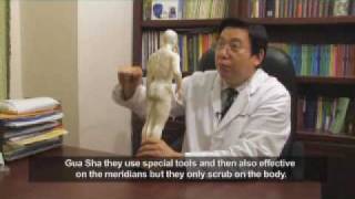 Acupuncture for Colds and FlusDr Decheng Chenwmv [upl. by Maclay]