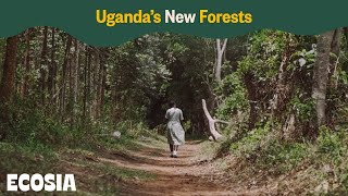 Uganda’s New Forests  Ecosia [upl. by Laney]