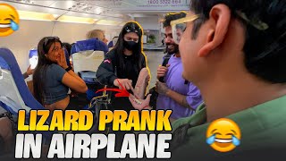 Lizard prank in airplane🤣 ftPAYALGAMING MilikyaMili [upl. by Enitnemelc]