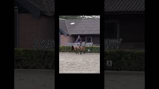 𝐒𝐡𝐢𝐧𝐞 𝐛𝐫𝐢𝐠𝐭𝐡 𝐥𝐢𝐤𝐞 𝐚 𝒹𝒾𝓂ℴ𝓃𝒹 PaardenpraatTV paardenpraattvvhorse [upl. by Ognimod]