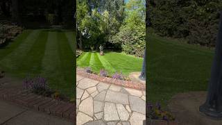 Lawn mowing Timelapse Toro prostripe lawn mower garden timelapse [upl. by Sturrock]