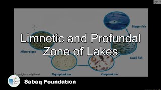 Limnetic and Profundal zone of lakes Biology Lecture  Sabaqpk [upl. by Steffy]