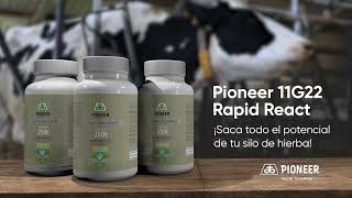 Inoculante 11G22 de Pioneer y ¡supera los químicos [upl. by Lulu]