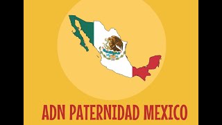 Prueba de Paternidad en México  ADN México [upl. by Amelus]