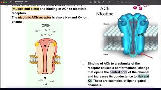 Physiology of Neuromuscular Transmission [upl. by Franzoni]