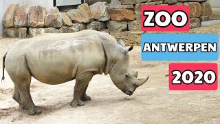 Zoo Antwerpen 2020 [upl. by Rogozen]