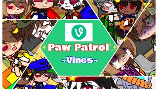 ✨Paw Patrol Vines✨ FT The Paw Patrol  1st AU  Gacha x Paw Patrol  Chaotic Person [upl. by Nuahsak]